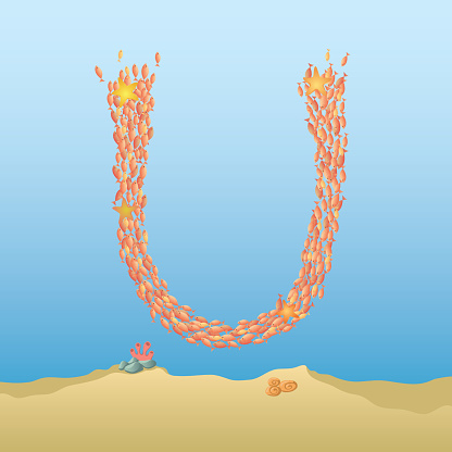 Marine Alphabet Stock Illustration - Download Image Now - Alphabet