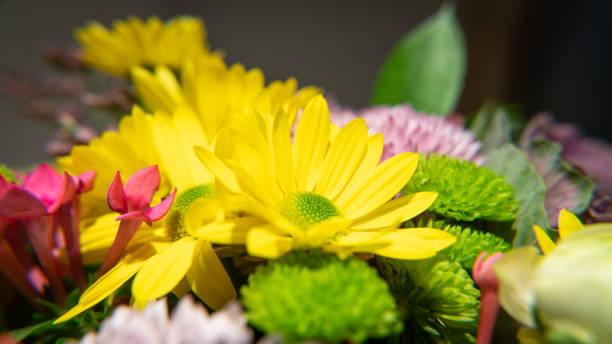 istock Flowers bouquet arrange for home decoration or celebration 1223156855