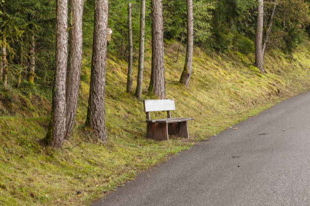 istock wooden bench inside a forest, no people around 1223157510