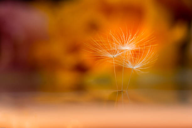 Simplicity will emerge from a new world ...!