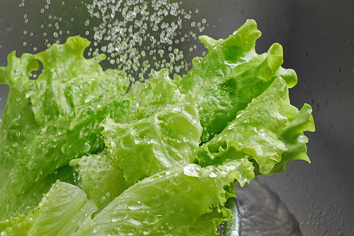 fresh lettuce leaves under running water in colander