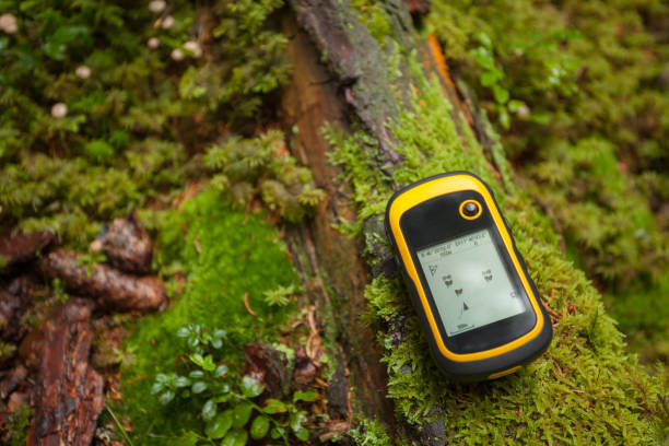 istock finding the right position in the forest via gps 1223161180