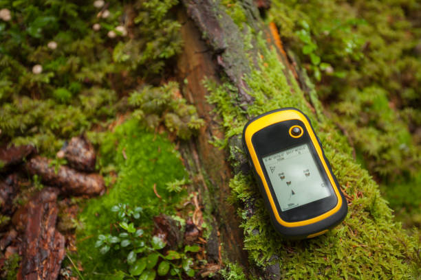 finding the right position in the forest via gps stock photo