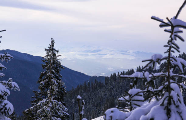 istock Parang mountains covered in snow, Romania 1223163136