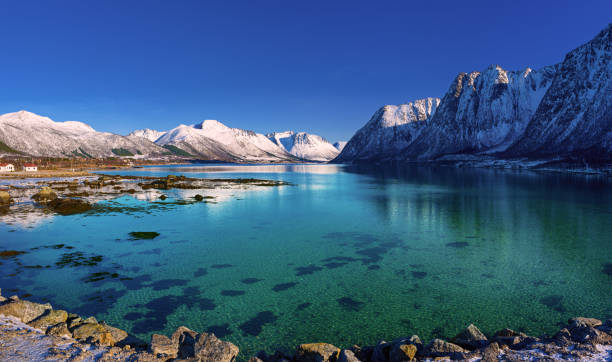 istock Winter Norway lake 1223164353