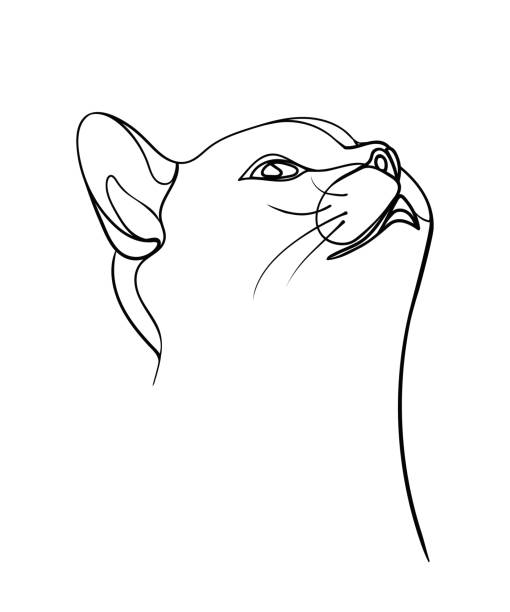 A Sketch Of The Cats Face Print Design On Tshirt Sketch Card Vector Illustration Stock Illustration - Download Image Now - iStock A Sketch Of The Cats Face Print Design On Tshirt Sketch Card Vector Illustration Stock Illustration - Download Image Now - Istock