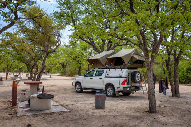 Tent located on the roof of a pickup 4x4 car in a camp in Etosha National Park Halali, Namibia - March 27, 2019 : Tent located on the roof of a pickup 4x4 car parked under trees of Halali camp in Etosha National Park. toyota hilux stock pictures, royalty-free photos & images
