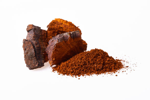 istock Chaga mushroom pieces isolated.  Inonotus Obliquus. 1223168259