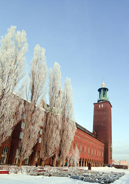 istock Stockholm City Hall 122316994