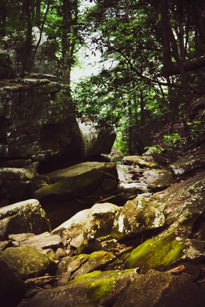 istock Cloudland Canyon State Park, Georgia 1223174179