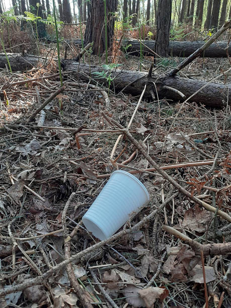 istock Plastic found in UK Woodland 1223174762