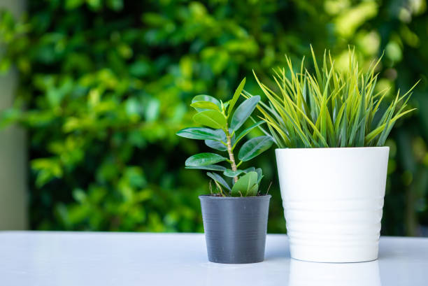 istock Plant plastic decorative container and hanging styling indoor basket for potting 1223174778