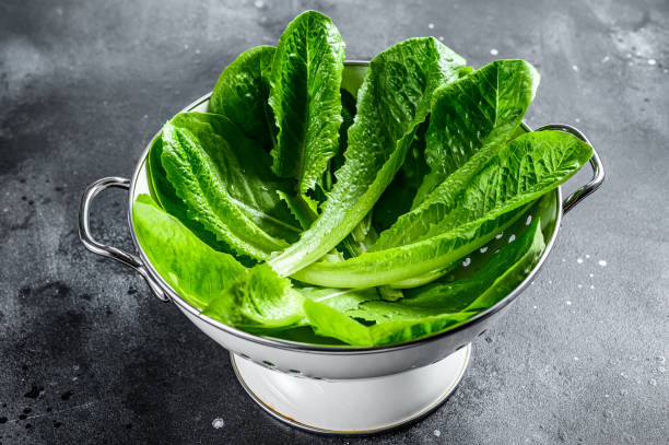 istock Romaine lettuce salad in a colander. Black background. Top view 1223175088