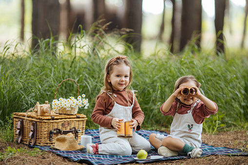 Happy childhood moments picnic nature concept