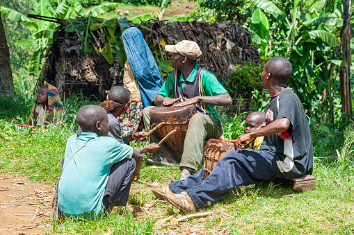 Buyungule Village, South-Kivu, Congo, Democratic Republic - January 03, 2016: A group of men is drumming on traditonal drums in the village Buyungule, they are celebrating the arrival of some foreign visitors. They are playing for a dance ceremony which takes place on the main place of the village. Buyungule is a village of the Batwa Pygmies, the native people of the Kahuzi Biega area.
Kahuzi-Biega Forest was the home of Batwa pygmies before it  was gazeeted as a National Park in 1970.  The life of the pygmy people was closely linked to the forest – there they found all what they needed for their life (food, medicine, shelter, etc.).  After the loss of their original habitat a lot of Pygmy people feel that they have lost their dignity as human being.