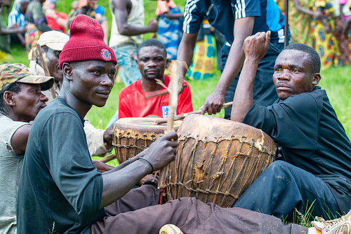 Buyungule Village, South-Kivu, Congo, Democratic Republic - January 03, 2016: A group of men is drumming on traditonal drums in the village Buyungule, they are celebrating the arrival of some foreign visitors. They are playing for a dance ceremony which takes place on the main place of the village. Buyungule is a village of the Batwa Pygmies, the native people of the Kahuzi Biega area.
Kahuzi-Biega Forest was the home of Batwa pygmies before it  was gazeeted as a National Park in 1970.  The life of the pygmy people was closely linked to the forest – there they found all what they needed for their life (food, medicine, shelter, etc.).  After the loss of their original habitat a lot of Pygmy people feel that they have lost their dignity as human being.