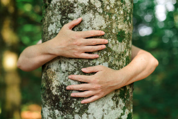 istock Environmentalist tree hugger is hugging wood trunk in forest 1223175969