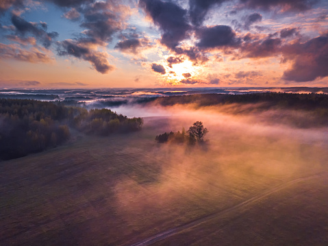 Fog and mist covering the fields in Lithuania at Spring