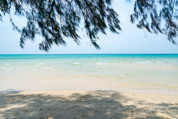istock Palm trees on the beach.  Thailand. 1223176973