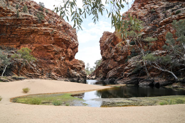 ellery creek big hole - ellery creek photos et images de collection