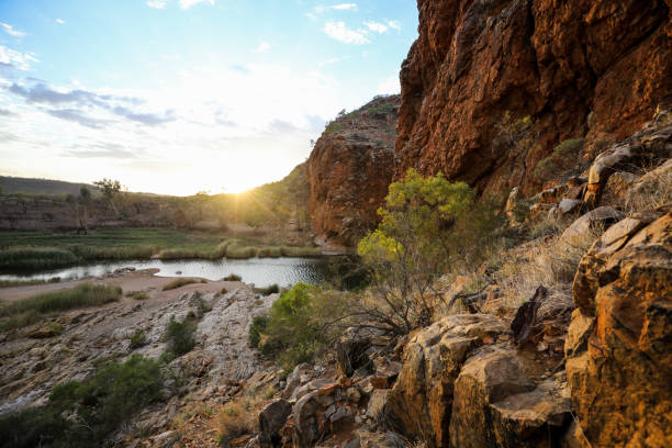 sunrise at glen helen gorge - northern territory macdonnell ranges australia eucalyptus imagens e fotografias de stock