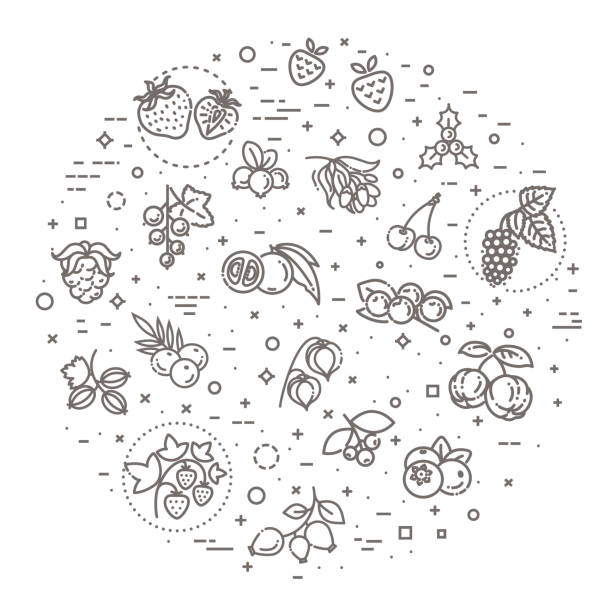beeren-symbol-set. vektor-illustration im modernen flachen stil - wolfberry stock-grafiken, -clipart, -cartoons und -symbole