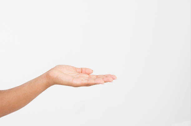 istock Open a black woman's hand, palm up isolated on white background.Front view. Mock up. Copy space. Template. Blank. 1223180446
