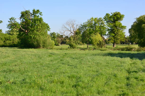 istock English countryside in Spring 2020 1223180886
