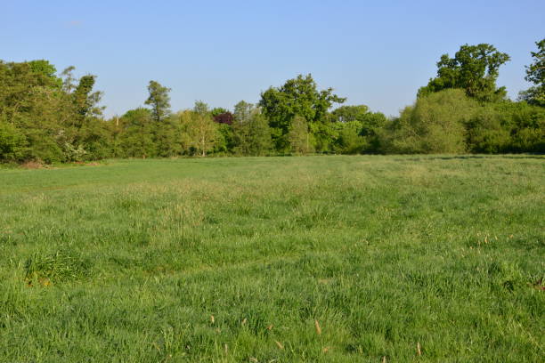 istock English countryside in Spring 2020 1223181034