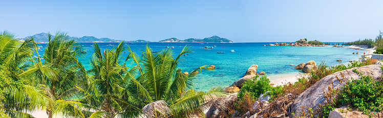 Secluded tropical coast line turquoise transparent water palm trees, undeveloped bay Quy Nhon Nha Trang, Vietnam central coast travel destination, no people clear blue sky, expansive view