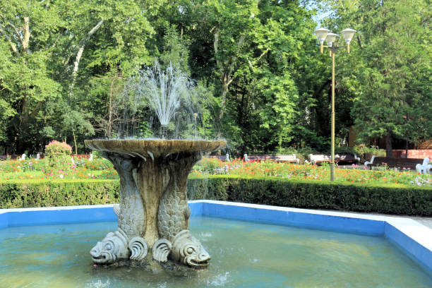 istock Buzias-Banat-Romania 1223182314