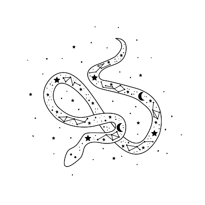 Ilustración de Serpiente Mística Con Luna Y Estrellas Concepto Místico  Alquimio Oculto y más Vectores Libres de Derechos de Espiritualidad - iStock