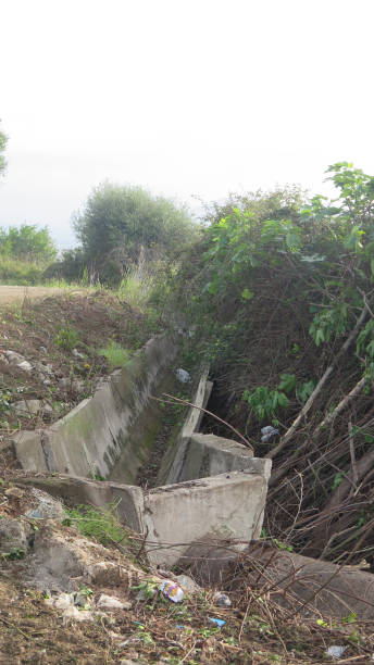 istock Cleaned up verge with exposed irrigation canal 1223184068