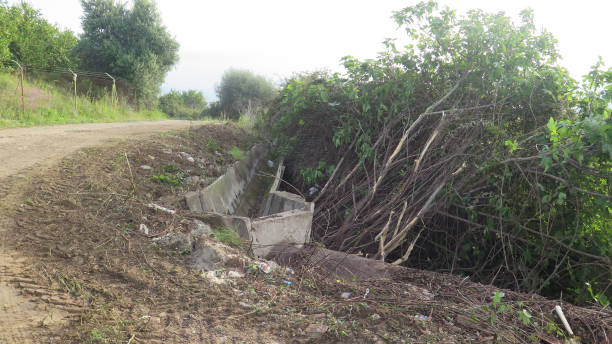 istock Cleaned up verge with exposed irrigation canal 1223184079