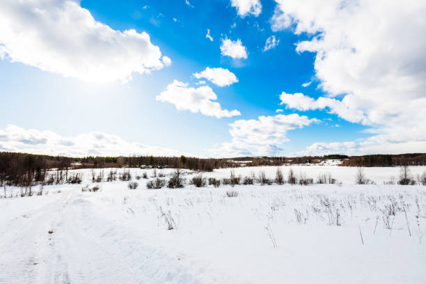 istock A view of the dirt road with a tractor tracks through the snow-covered fields. Dramatic blue sky. Forest in the background. Kuito lake, Karelia north, Lapland 1223184441