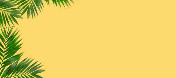 istock Green plants summer concept template for your text or design on yellow paper background. 1223184614
