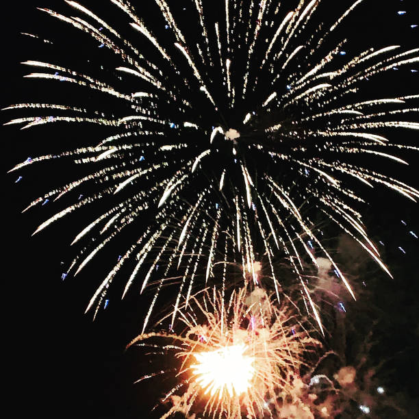 istock Fireworks in the Night Sky 1223184794