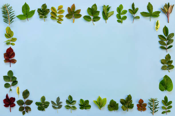 istock Pattern of various green leaves on  blue paper  background. 1223186382