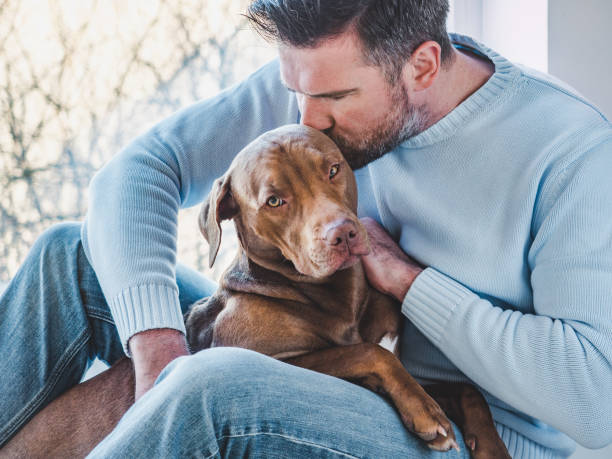 istock Handsome man and a charming puppy. Close-up 1223187624