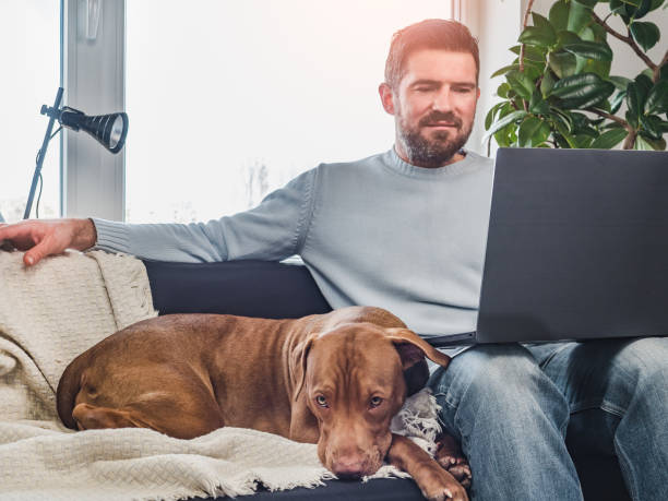 istock Handsome man and a charming puppy. Close-up 1223187987