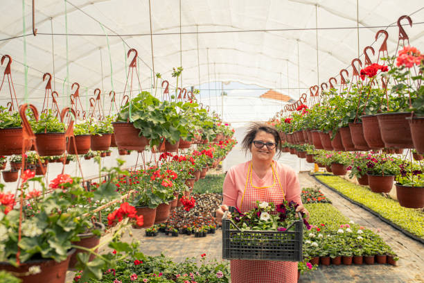 istock Florists working in flower greenhouse 1223188150