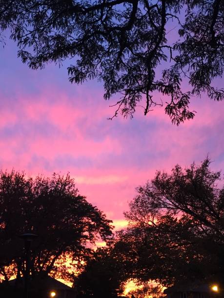 istock Sunset in the suburbs 1223188402