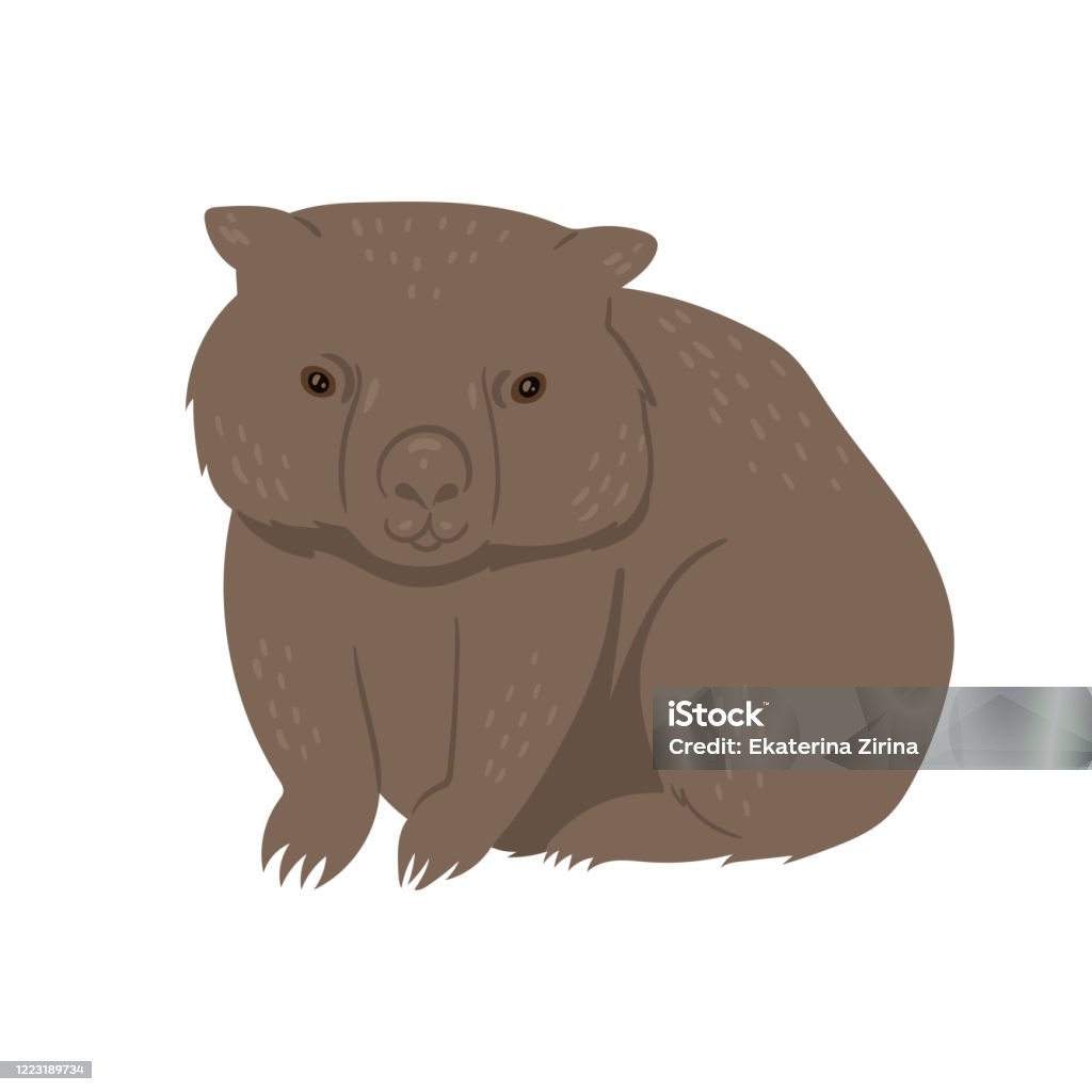 Wombat Bitmap Wombat Isolated On A White Background Vector Graphics Stock ...