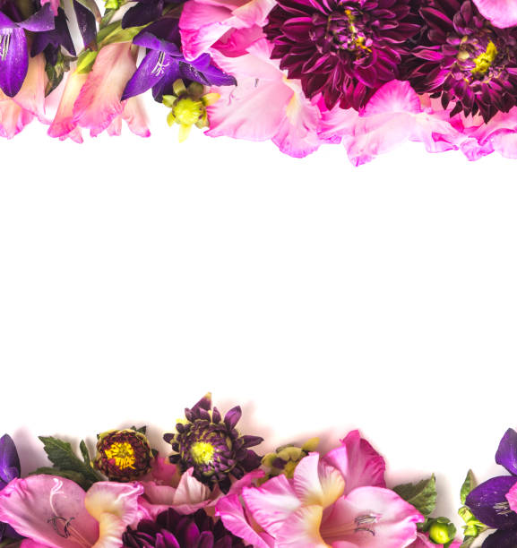 istock White background with decoration of flowers 1223192266