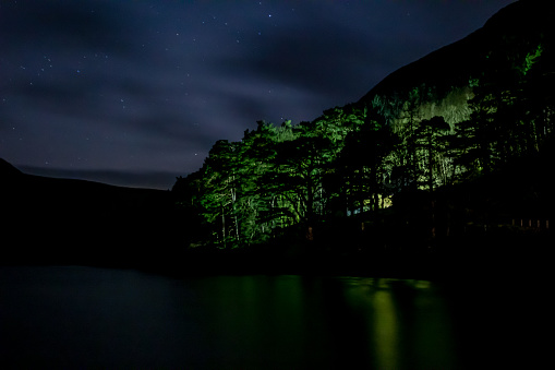 Green Trees on a Lake at Night with Stars, Ireland