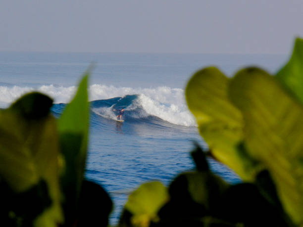 Surfer duck diving under reef break