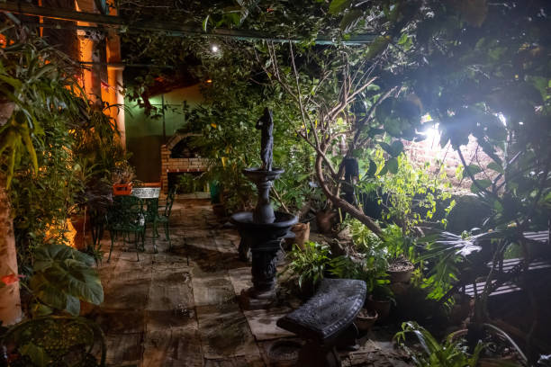 istock Beautiful Green Home Garden At Night. 1223196858