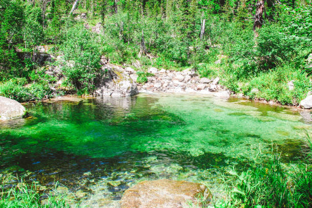 istock Mountain lake with reflection in park Ergaki, Russia 1223197084