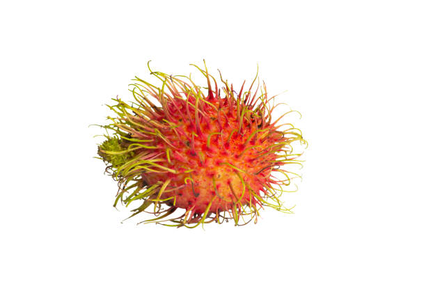 rambutan isolato su sfondo whtie, messa a fuoco selecetiva - rambutan foto e immagini stock