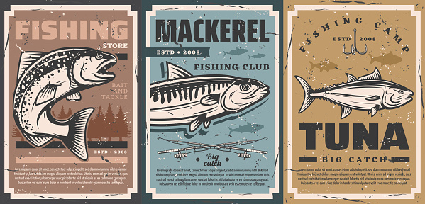 Fishing camp club and fisher equipment store vector vintage retro posters. Fishing rods and lures hooks for river pike, ocean tuna and sea mackerel big fish catch